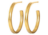 2For1 Medium Hoops Pair / Gold Plated