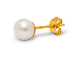 Pearl 1 Pcs / Gold Plated