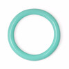 Color Ring-Enamel / Mint 55